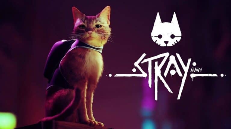 Stray télécharger ou gratuit